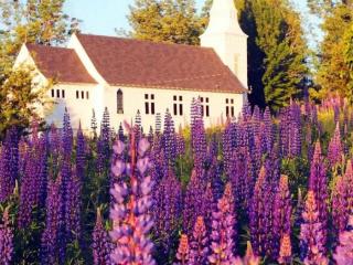 据说出现在你梦里的人（出现在梦里的人到底意味着什么）