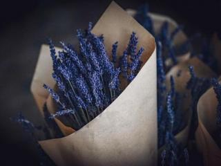 巨蟹座情商高的可怕，请别低估了他们的情商