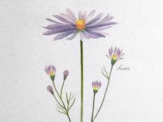 三年后的自己说说（余生致自己的唯美句子）