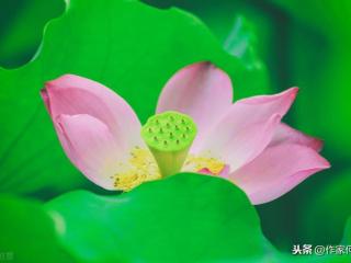 开悟的人有多大能力（开悟是一种什么样的境界）