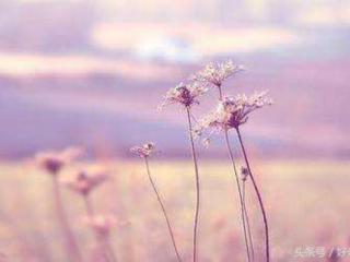 新的一天开始精美语句（新的一天开始早安语精美语句）