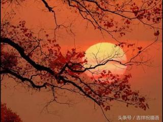 40岁名言经典语录（40岁以上的要好好听听）