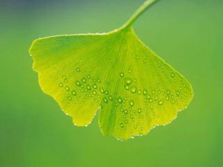 套路深的往往都是什么人（说话往往都有这几个套路）