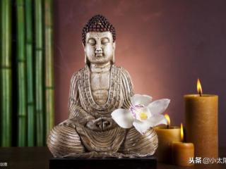 前世五百次的回眸（前世五百次的回眸源于每一次相遇）