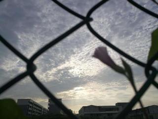 时间是让人猝不及防的东西（时间是个让人猝不及防的东西）