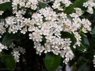 男女对视 一个眼神就懂（对视时眼神里就是真正的洁白）