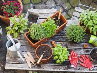 8个稳赚的女性创业（8个稳赚的女性创业项目）