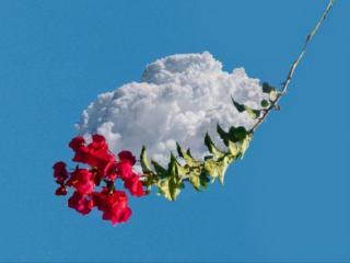 安慰闺蜜的暖心话（很贴心的安慰朋友的话）