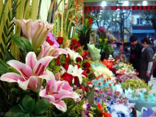 适合小县城的41个投资（30个投资项目值得推荐）