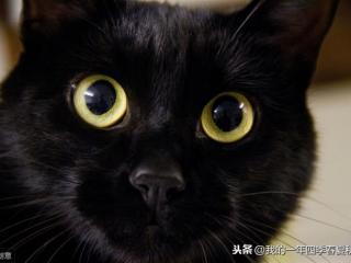 生气的个性签名（最新生气超拽的个性签名）