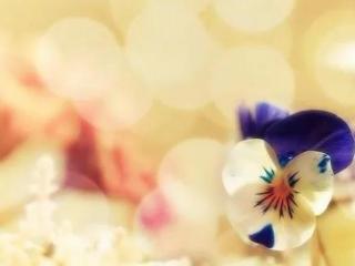 二次分手后还能复合吗，第二次分手了还会复合吗