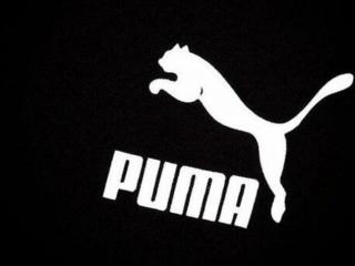 puma是什么牌子（一头豹子是什么牌子）