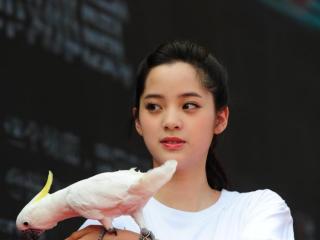 欧阳娜娜个人简历资料（欧阳娜娜的一些简介）