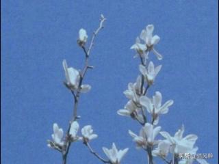 关于努力的说说（努力奋斗的说说致自己）