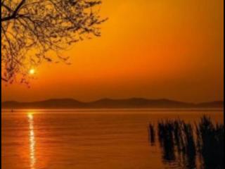 情侣说说秀恩爱短句（情侣秀恩爱句子简单真实）