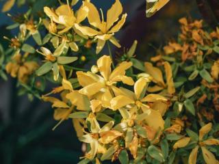 女朋友突然不理我了怎么回事（为什么女朋友突然不理你了）