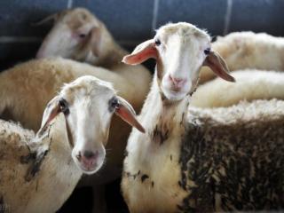 见面都难的感情怎么去维持，高难度的恋爱要怎么维持