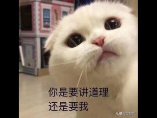 女生突然冷淡了怎么办，女朋友开始对你冷淡