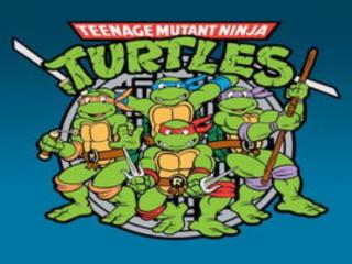 忍者神龟名字（怀旧动画系列——忍者神龟）