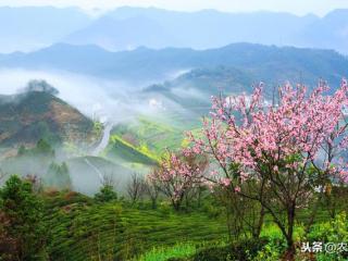 别墅前三后四是什么意思（农村清明上坟前三后四）