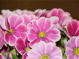 早安心灵鸡汤（早安正能量简短语录）