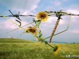 怎样确定老婆是否出轨（如何辨别妻子是否会出轨）