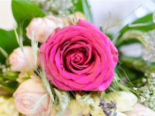 感情短句，治愈人心的爱情短句