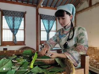 桑蚕丝和真丝的区别（桑蚕丝和真丝区别是什么）