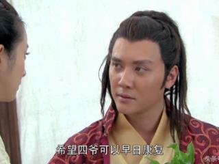 兰陵王电视剧（雪舞为救兰陵王以身涉险）