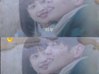 十五年等待候鸟小说（候鸟的迁移是一个关于承诺的故事）