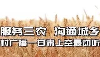 伪装者剧情分集介绍（拍案有故事—伪装者）