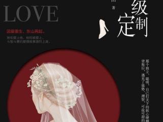 爱情高级定制小说（男女主是设计师的小说合集）