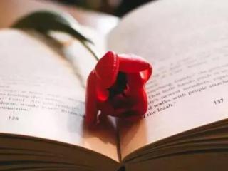 男方不得提出离婚的情形（男方不得提出离婚的情形有哪些）