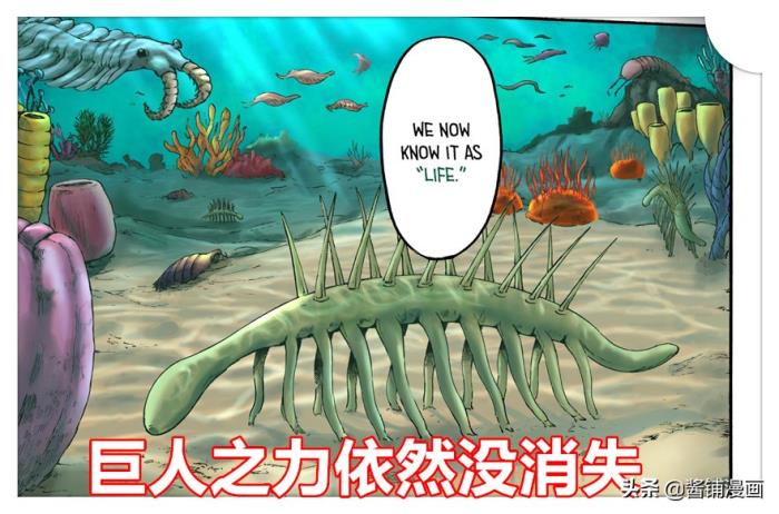 进击的巨人海螺图片
