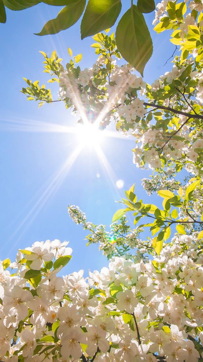 很有意境的图片29张高清清新意境风景壁纸