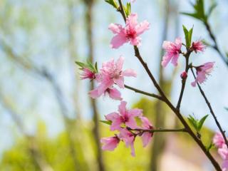 遇到喜欢的人身体特别有感觉，是控制不住这些身体反应的
