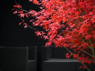 两个人一见面就有冲动的感觉（两个人能不能在一起）