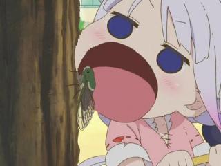 二次元是什么（不是很懂你们二次元）