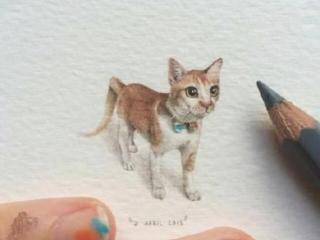 朋友圈里的逗比段子（适合发朋友圈的幽默段子）