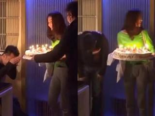 高圆圆黄海波（高圆圆为黄海波庆生）