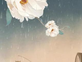 关于雨的唯美句子（关于雨美到心醉的词句值得收藏）