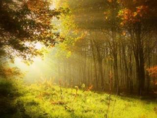 八个字阳光温暖的签名（青春阳光温暖的签名）