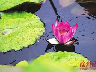 祝女生生日快乐的句子（祝福女生女朋友生日文艺的句子）