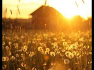 男生个性签名简短（男生成熟简短个性签名）