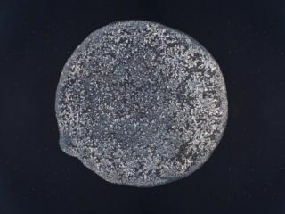 眼泪图片（这是眼泪的真正模样）