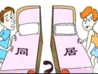 老公出轨在外面养小三犯法吗（丈夫出轨与第三者同居）