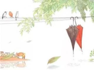 青春不解风情（原谅青春太不解风情）