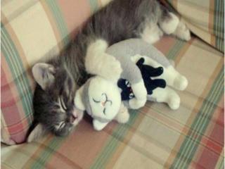 笑破你肚子的笑话30个（超级乐呵呵的30条冷笑话）