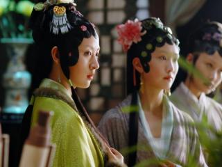 新红楼梦演员表（从新版红楼梦走出的花旦们）