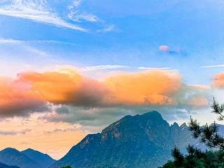 人间至味是清欢下一句（人间至味是清欢）